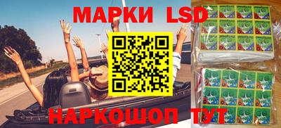 PSILOCYBIN Кинель